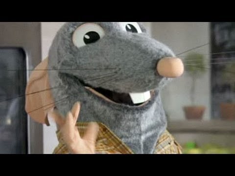 Ratte in der Küche - Ladykracher