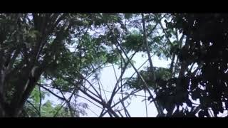 Download lagu Review Sonic 150R Story WA mp3