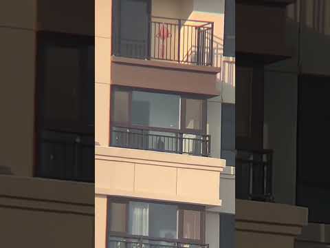 wild hunt tv 20-60x80 High Quality Spotting Scope for hunting