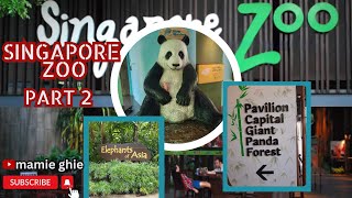 SINGAPORE ZOO ( LAST PART) #singaporetravel #singaporeview #touristplace #zoo #viralvideo