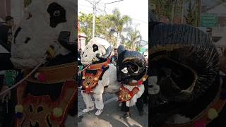 Download lagu RAJA DOMBA GARUT #shorts mp3 Download lagu RAJA DOMBA GARUT #shorts mp3