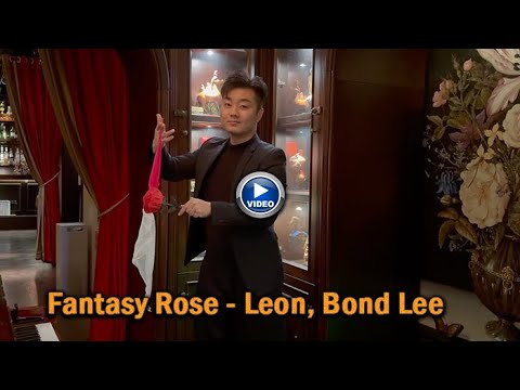 Voir la vidéo de Savant Deck - Craig Petty