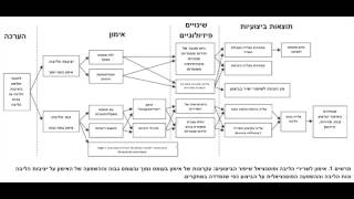 אימון שרירי הליבה - Podcast