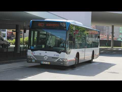 STCP 2182 (audio recording - collab) Part III