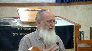 עבודת נמלים – שיעור 84 – ספר במדבר