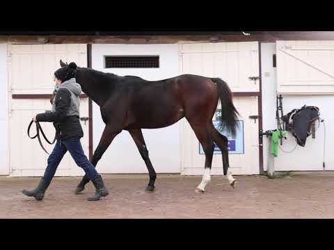 2020 Autumn Sale - Lot 748 c. COKORIKO x NEW SAGA