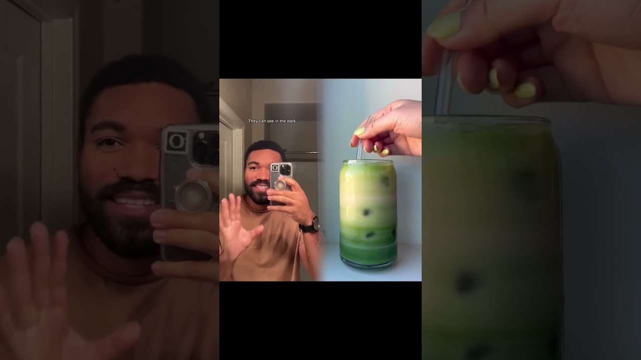 Ants are truly terrifying #no