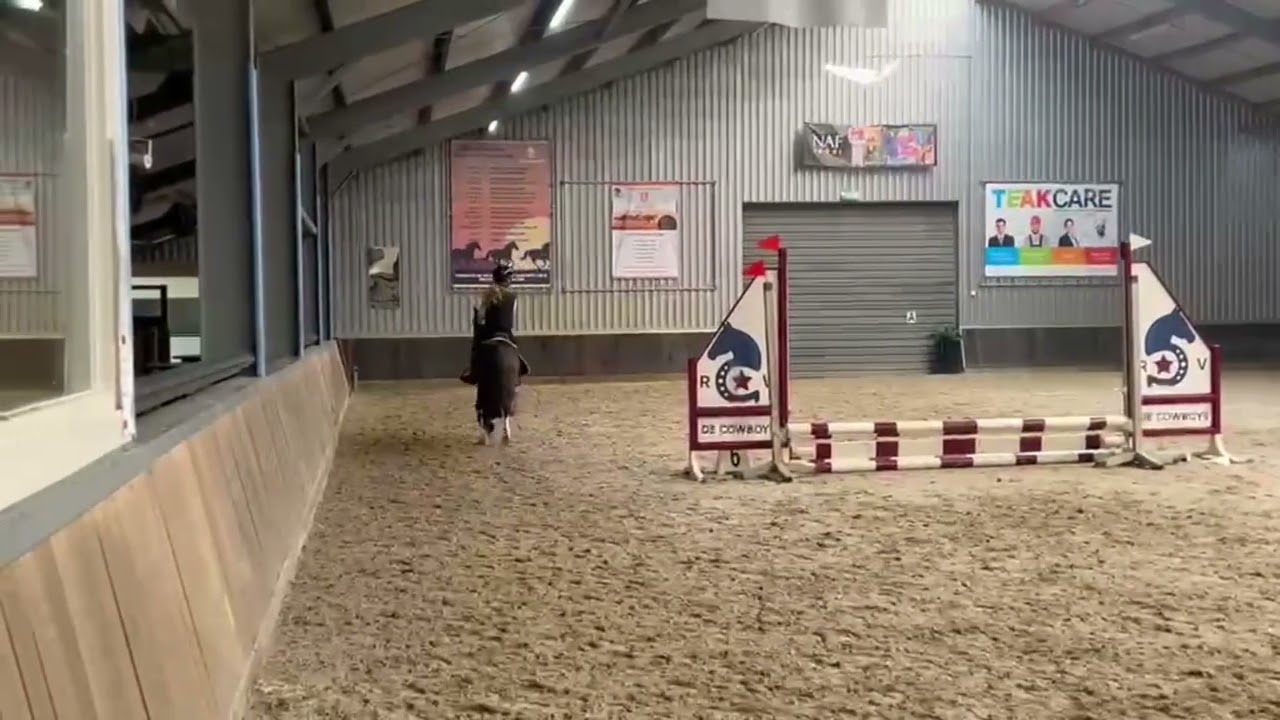 Ricardo video 3