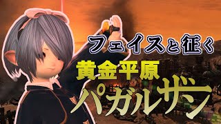 【FF14】お前もガレマール帝国に栄光あれbotにならないか？【黄金平原パガルザン】