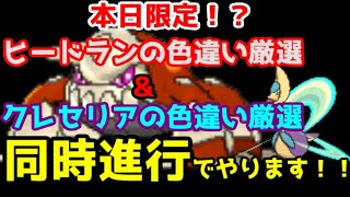 ヒードランとクレセリアを同時に色違い厳選していた枠　ダイマックスアドベンチャー配信15000日目