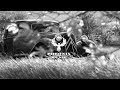 Arash Broken Angel HOUSE MUSIC MIX 2021