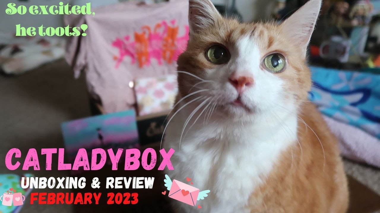 CatLadyBox Unboxing | February 2023
