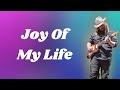 Chris Stapleton - Joy Of My Life (Lyrics)
