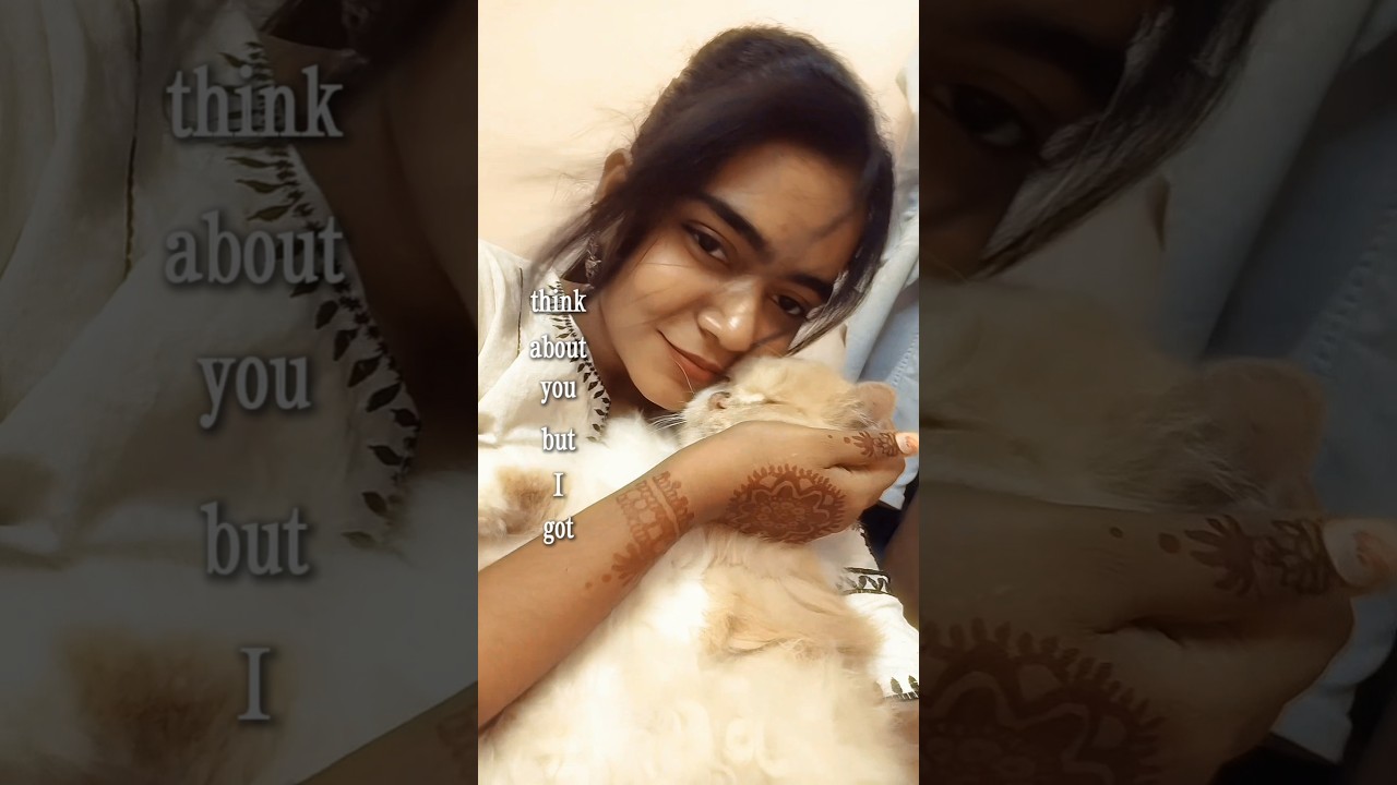 Happily in a Toxic Relationship 😚💗#trending#cat#viral