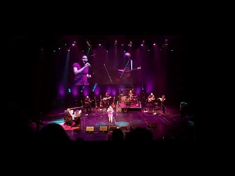 Canto versos - Maggie Cullen