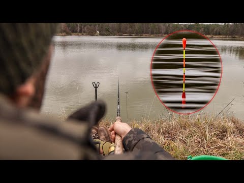 Posenangeln am Weiher auf Karpfen