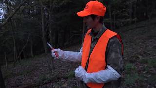 How To Field Dress Whitetail Deer 2017