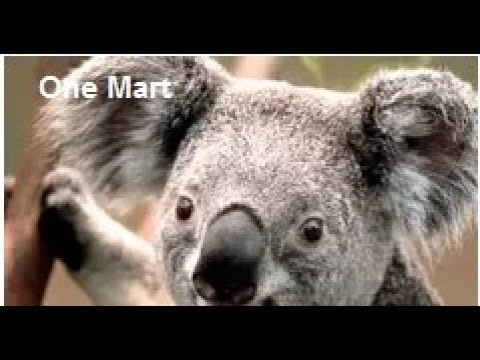 Miniatura del video del terreno en Huimanguillo