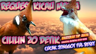 Download lagu FULL BESET NYELEKIT‼️ CUCAK JENGGOT SAMBUNG CILILIN 20 DETIK TANPA PUTUS || MASTERAN CUCAK IJO MURAI mp3