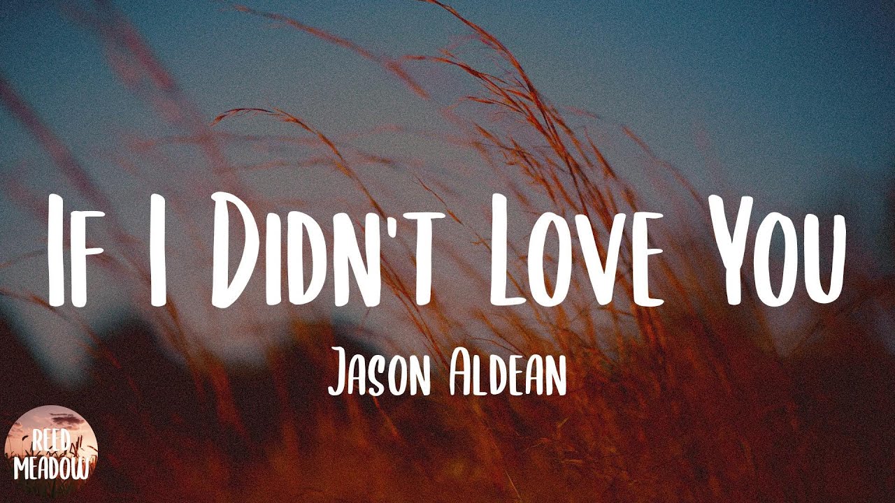If I Didn't Love You Lyrics