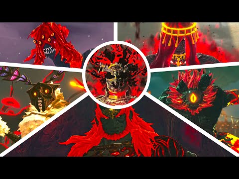 All Boss Fights | Hyrule Warriors: Age of Imprisonment