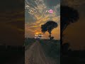 Galat Kya Sahi Kya ️ Sad WhatsApp Stetus Viral Trending Bollywoodlofi