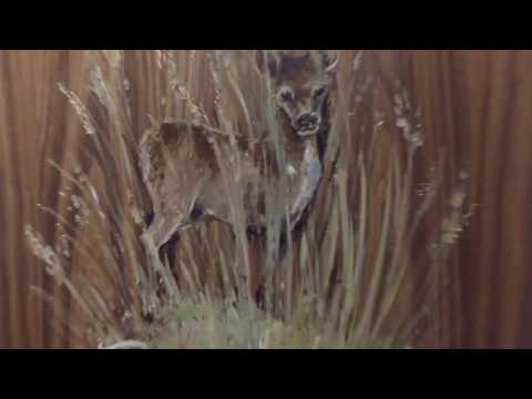 Jigsaw Photography  video.