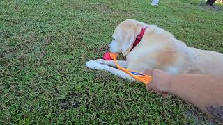 Hamish in the beautiful chill