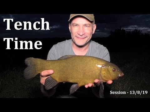 "Tincaring" For Tench - 13/8/19 (Video 123)