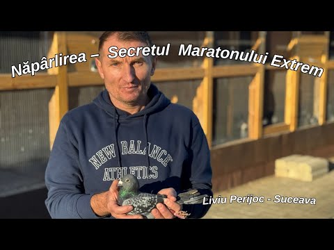 Liviu Perijoc – How to Control Shedding to Win the Extreme Marathon | Tips from the Champion