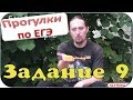 ЕГЭ 2016 - Задание 8 Русский язык 