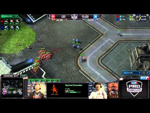 Comment of the Day: Axslav's Thoughts on Flash