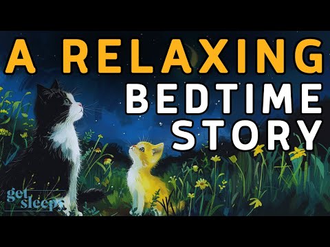 A RELAXING Sleepy Story 💤 Auggie Gets a Kitten 💤 BEDTIME STORY