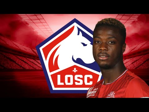 Nicolas Pepe • Dribbles & Buts • 2017 - 2018