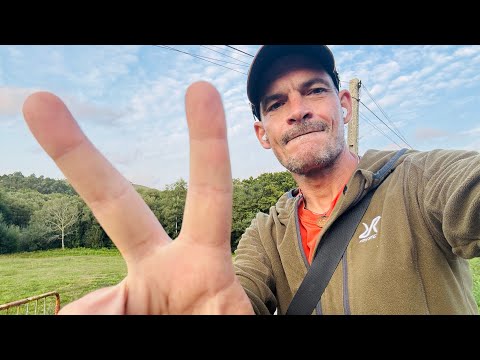 WIR brechen Heute einen persönlochen Rekord!  LIVE #jakobsweg #caminodesantiago #caminofrances