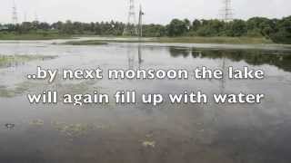 Save Lokhandwala lake