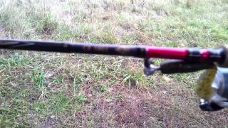 Shimano profexpert ru