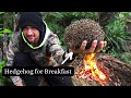 Hedgehog Harvest - Primitive methods of our Ancestors.