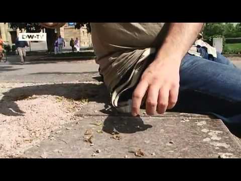 The German Film Magazine - 14.05.2011 | KINO