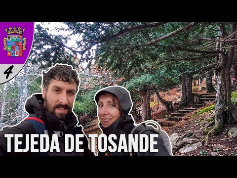 La Tejeda de Tosande | #4 Montaña Palentina Invernal | LowCosTravellers