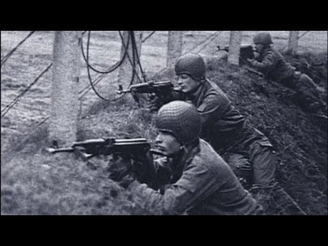 Weaponology - "AK-47"