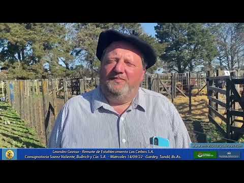 14-09-22 - Leandro Grasso - Remate de Establecimiento Los Ceibos S.A.