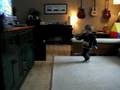 Dancing To VeggieTales