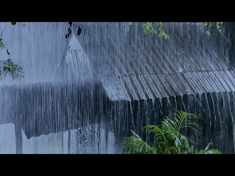 Solve All Your Sleep Problems with Nature Heavy Rain & Strong Thunder on Tin Roof of Old House