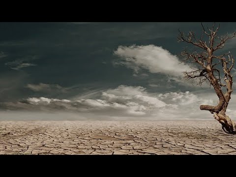 Yasin Keleş & Neşet Ertaş (Bahçe Duvarı)