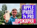 Смартфон Apple iPhone 14 128GB Midnight