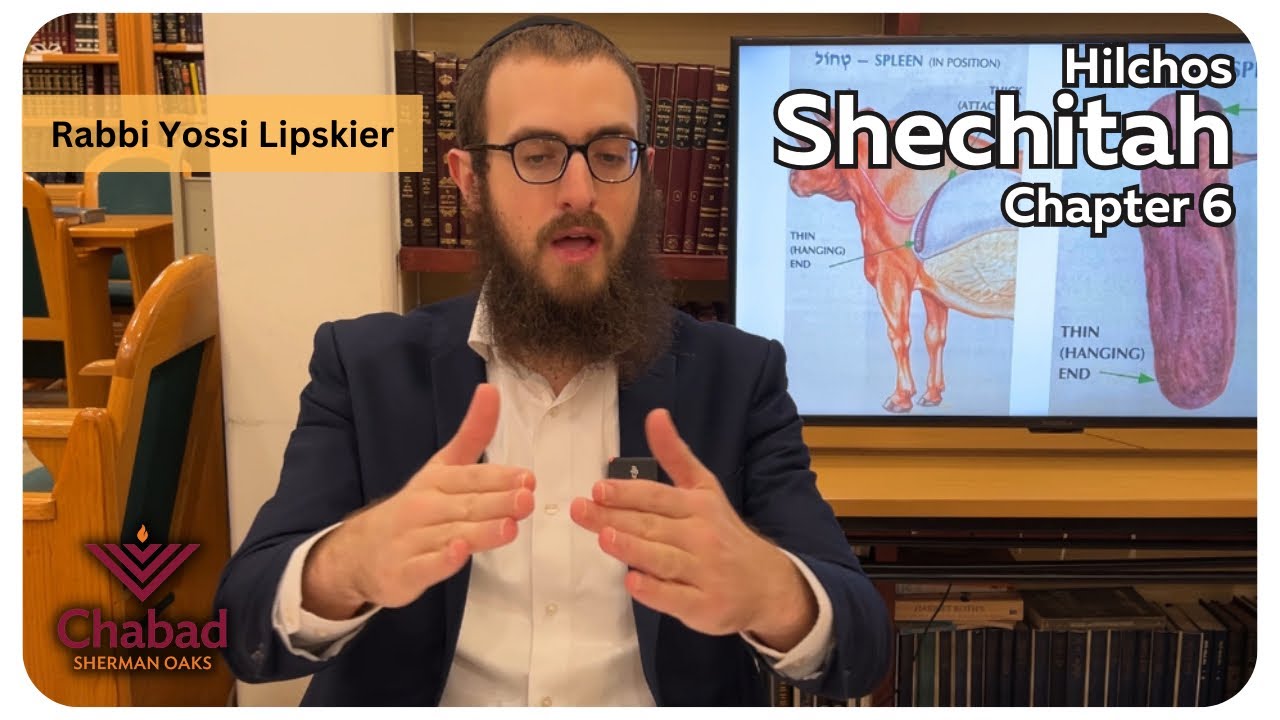 Rambam Hilchos Shechitah Chapter 6 • Rabbi Yossi Lipskier