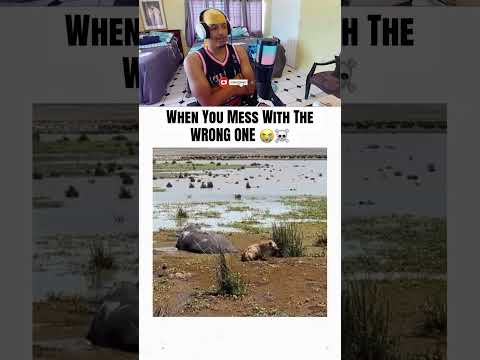 When You Mess With The WRONG One 😭☠️