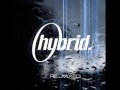 Hybrid Featuring Peter Hook ‎-- True To Form (John Creamer & Stephane K Mix)