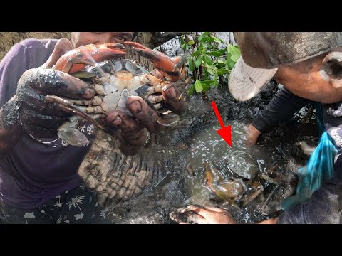 P1.Jackpot kami sa alimango ngayon ang dami nahuli namin,anglalaki!